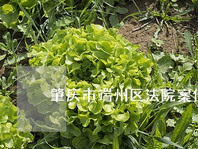 肇庆市端州区法院案件查询结果 肇庆市端州区法院案件查询结果