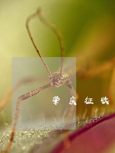 肇庆征收土地违法