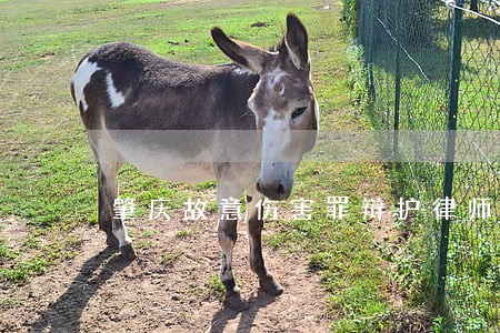 肇庆故意伤害罪辩护律师 肇庆故意伤害罪辩护律师