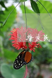 肇庆民事法律咨询有哪些 肇庆民事法律咨询有哪些