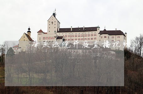 肇庆法院开庭直播视频 肇庆法院开庭直播视频
