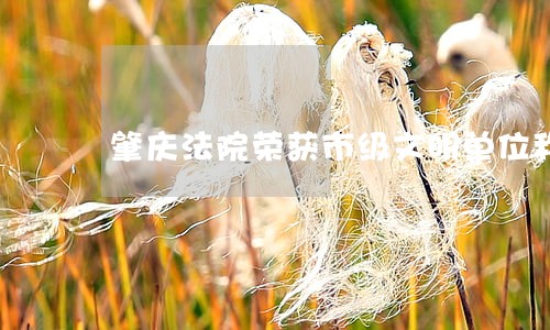 肇庆法院荣获市级文明单位称号 肇庆法院荣获市级文明单位称号