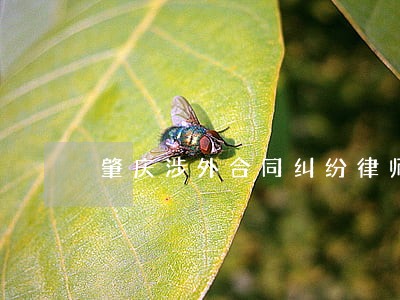 肇庆涉外合同纠纷律师 肇庆涉外合同纠纷律师
