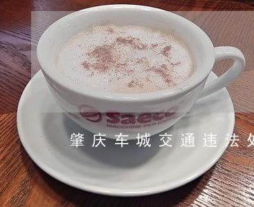肇庆车城交通违法处理 肇庆车城交通违法处理