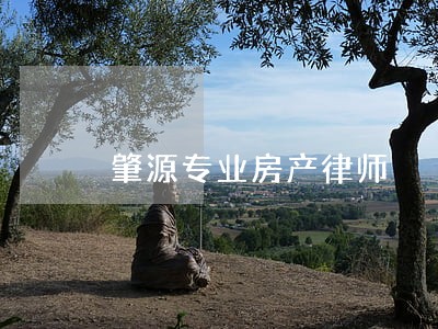 肇源专业房产律师 肇源专业房产律师
