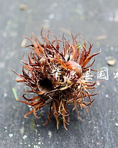 肇源县国家赔偿免费法律咨询热线 肇源县国家赔偿免费法律咨询热线