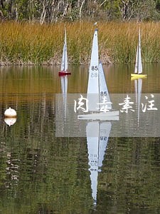 肉毒素注射美容违法吗 肉毒素注射美容违法吗