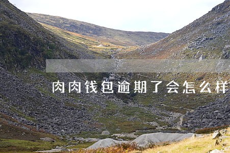 肉肉钱包逾期了会怎么样 肉肉钱包逾期了会怎么样