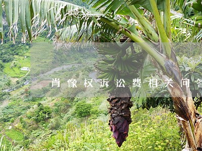 肖像权诉讼费相关问答 肖像权诉讼费相关问答