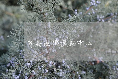 肖县法律援助中心 肖县法律援助中心