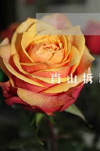 肖山拆迁律师咨询