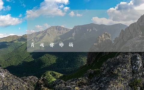 肖战律师弱 肖战律师弱