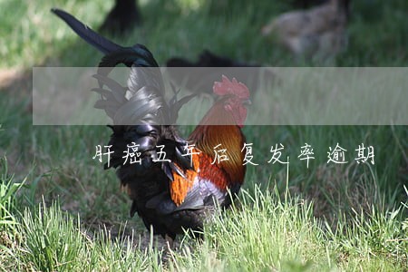 肝癌五年后复发率逾期 肝癌五年后复发率逾期