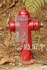 股东个人贷款逾期 股东个人贷款逾期