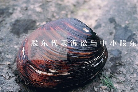 股东代表诉讼与中小股东权益保护 股东代表诉讼与中小股东权益保护