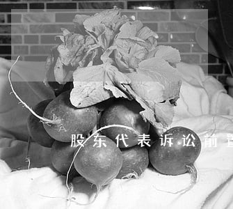 股东代表诉讼前置程序的原因 股东代表诉讼前置程序的原因