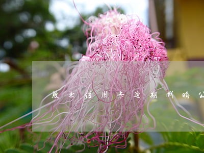 股东信用卡逾期影响公司征信吗 股东信用卡逾期影响公司征信吗
