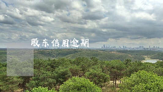 股东信用逾期 股东信用逾期