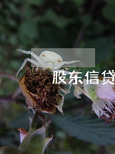 股东信贷逾期 股东信贷逾期