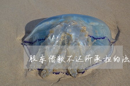 股东借款不还所承担的法律风险 股东借款不还所承担的法律风险
