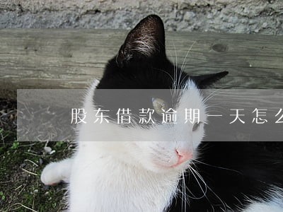 股东借款逾期一天怎么办 股东借款逾期一天怎么办