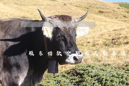 股东借款逾期未还职务侵占 股东借款逾期未还职务侵占