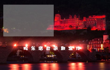 股东借款逾期案件 股东借款逾期案件