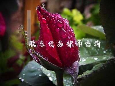 股东债务律师咨询 股东债务律师咨询