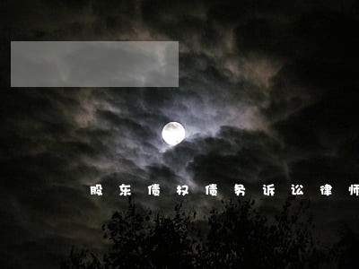 股东债权债务诉讼律师 股东债权债务诉讼律师