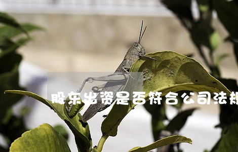 股东出资是否符合公司法规定 股东出资是否符合公司法规定