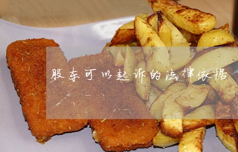 股东可以起诉的法律依据 股东可以起诉的法律依据