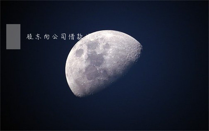股东向公司借款逾期 股东向公司借款逾期