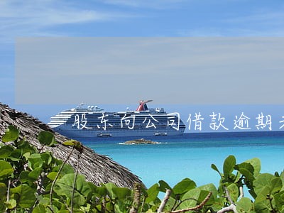 股东向公司借款逾期未还 股东向公司借款逾期未还