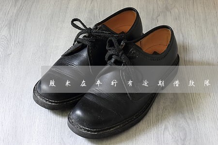 股东在本行有逾期借款限制表决权 股东在本行有逾期借款限制表决权