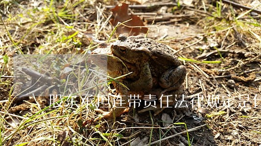 股东承担连带责任法律规定是什么 股东承担连带责任法律规定是什么
