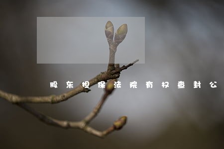 股东担保法院有权查封公司吗