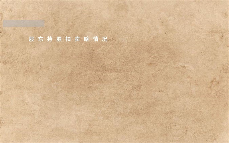 股东持股拍卖啥情况 股东持股拍卖啥情况