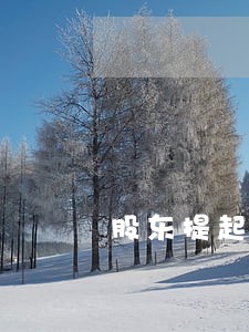 股东提起解散公司诉讼的情形 股东提起解散公司诉讼的情形
