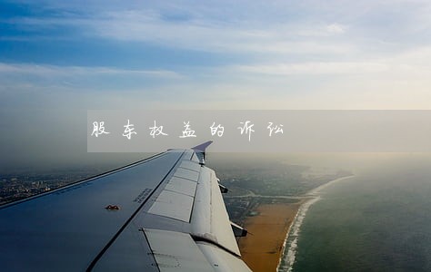 股东权益的诉讼 股东权益的诉讼