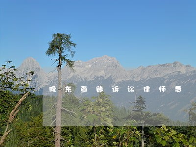 股东查账诉讼律师费 股东查账诉讼律师费