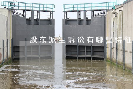 股东派生诉讼有哪些特征 股东派生诉讼有哪些特征