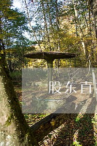 股东直接诉讼法律规定 股东直接诉讼法律规定