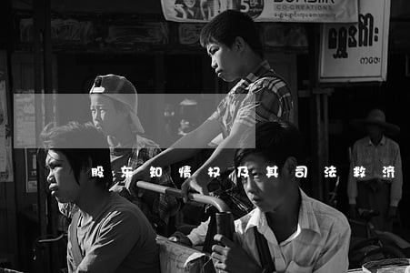 股东知情权及其司法救济研究 股东知情权及其司法救济研究