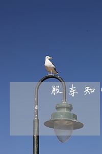 股东知情权诉讼若干问题探析 股东知情权诉讼若干问题探析