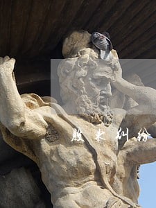 股东纠纷律师在线咨询 股东纠纷律师在线咨询