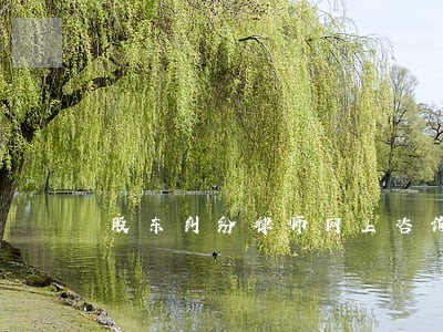 股东纠纷律师网上咨询