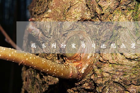 股东纠纷案件司法观点集成 股东纠纷案件司法观点集成