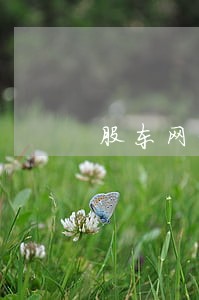 股东网贷逾期 股东网贷逾期