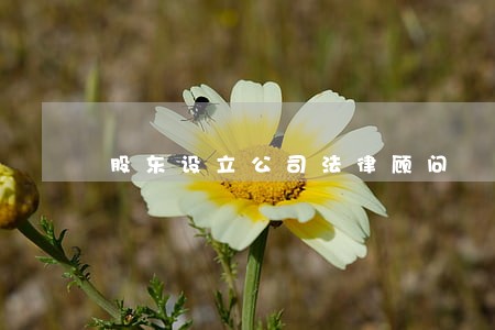 股东设立公司法律顾问 股东设立公司法律顾问