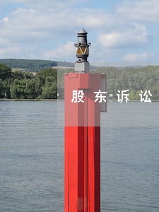 股东诉讼制度研究 股东诉讼制度研究